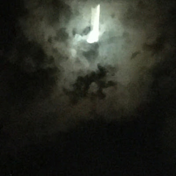 Meet your Posher, Regan - Picture 1 of 1